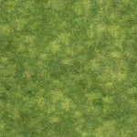 Grass #2 - Seamless - 2K
